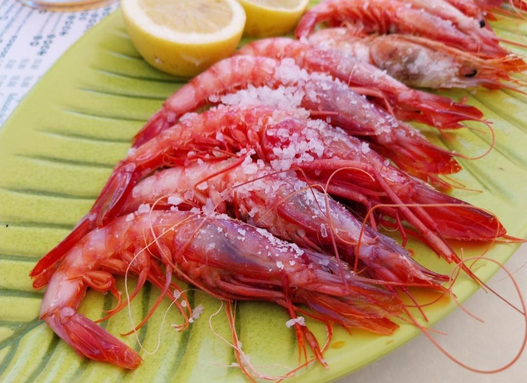 S&H La Malcriada San Juan de los Terreros エクステリア 写真