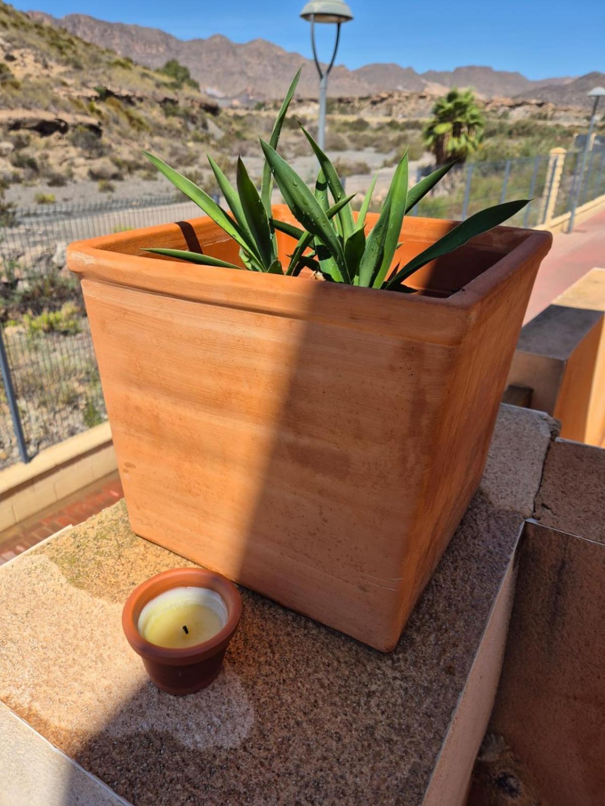S&H La Malcriada San Juan de los Terreros エクステリア 写真